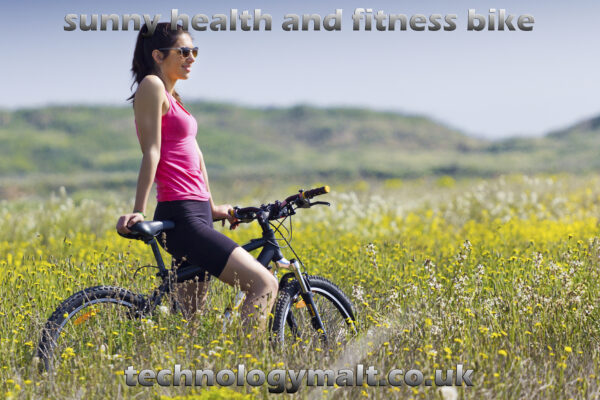 sunny health and fitness bike