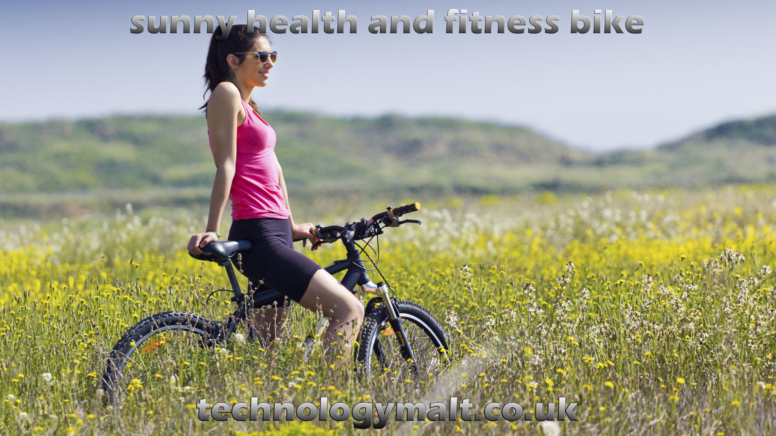 sunny health and fitness bike