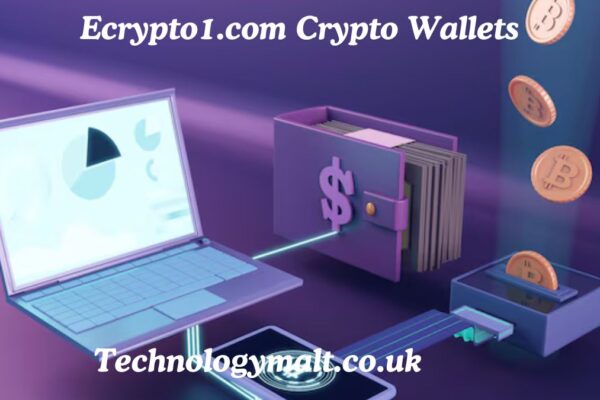 Ecrypto1.com Crypto Wallets