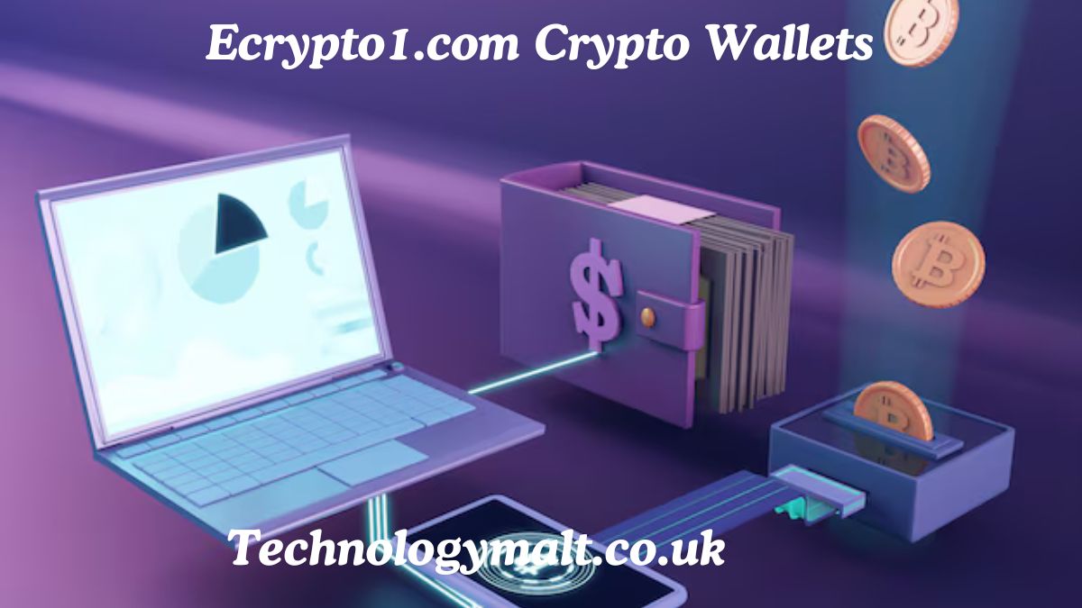 Ecrypto1.com Crypto Wallets